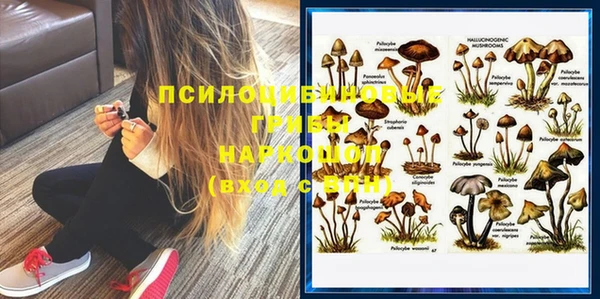дурь Абинск
