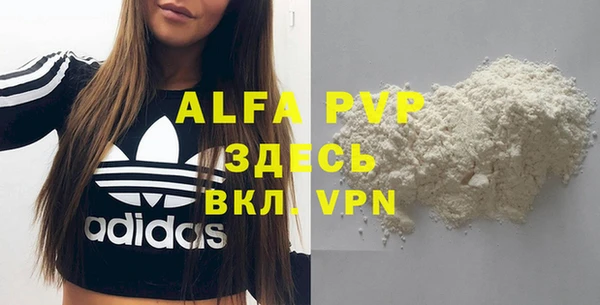 гашик Абаза