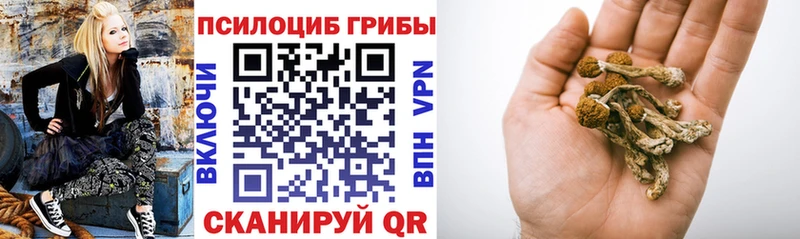 Галлюциногенные грибы прущие грибы  Приморско-Ахтарск 