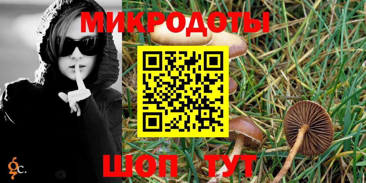 Приморско-Ахтарск  Псилоцибиновые грибы мицелий  Галлюциногенные грибы мицелий  Вход с VPN 