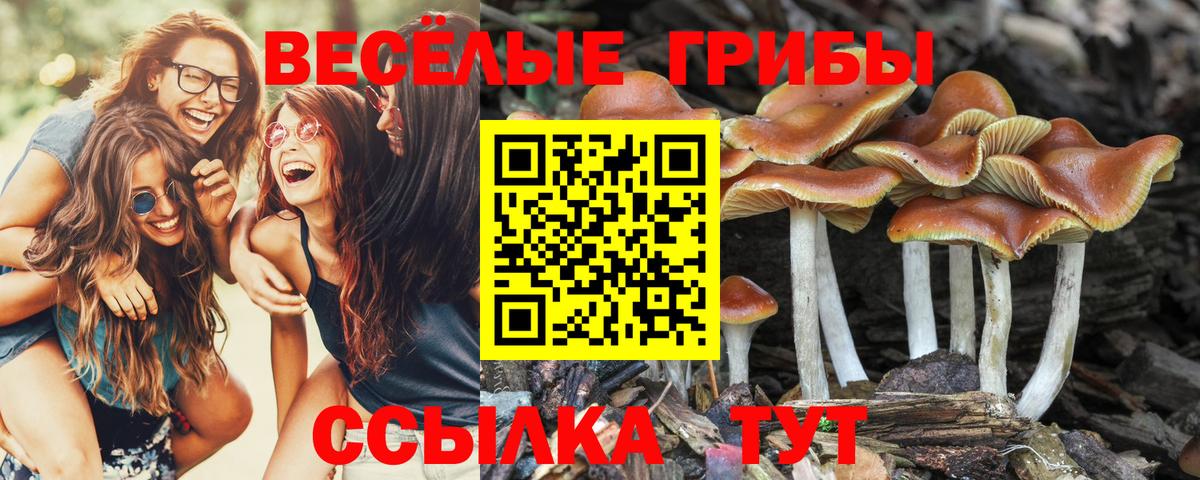 Галлюциногенные грибы Magic Shrooms Приморско-Ахтарск